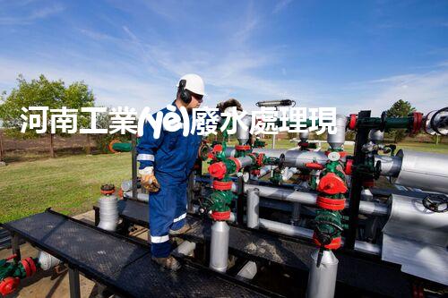 河南工業(yè)廢水處理現(xiàn)狀調(diào)查與未來發(fā)展趨勢展望？
